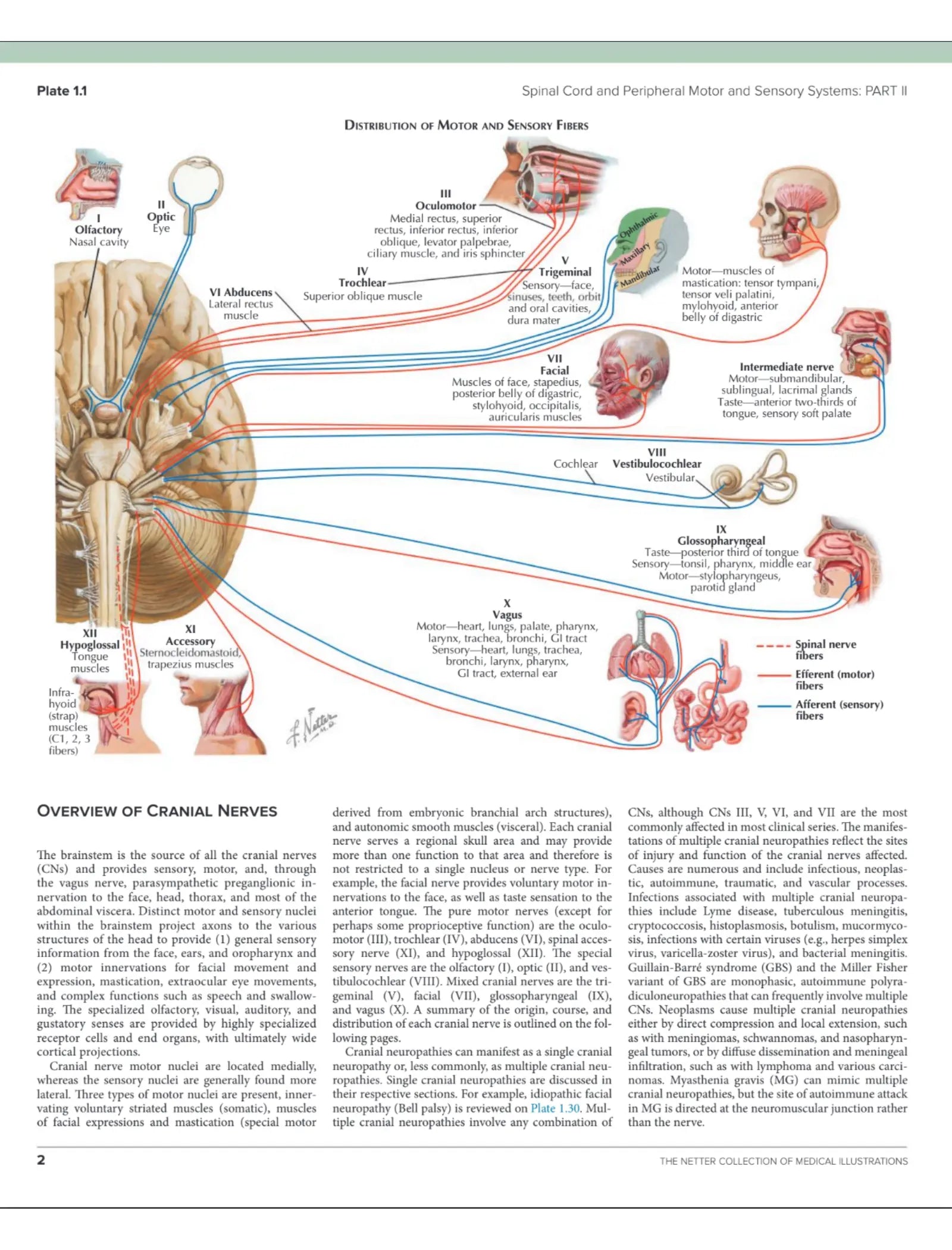 The Netter Collection of Medical Illustrations Complete Package (Netter Green Book Collection) 3rd Edition