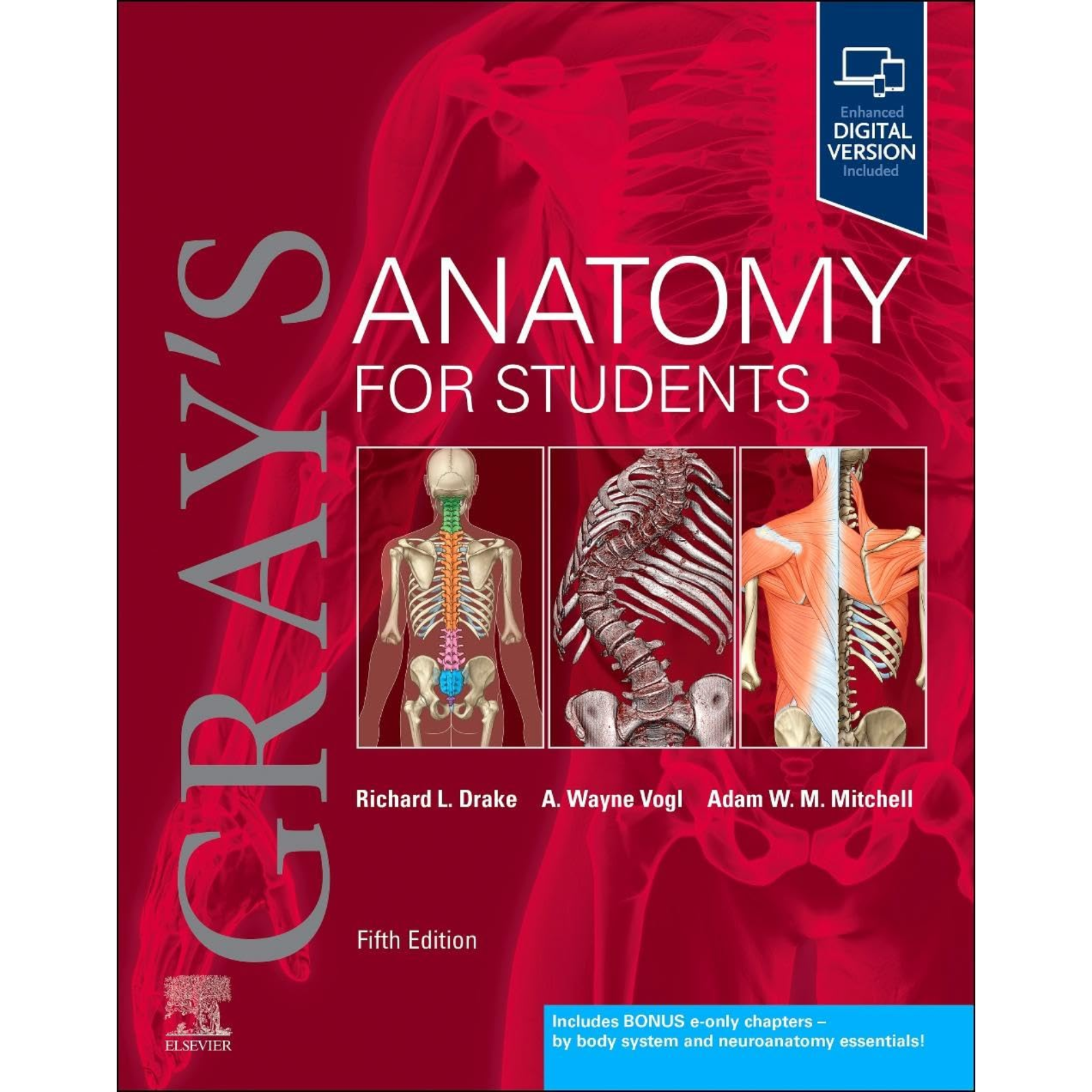 gray's anatomy for students, 5th edition