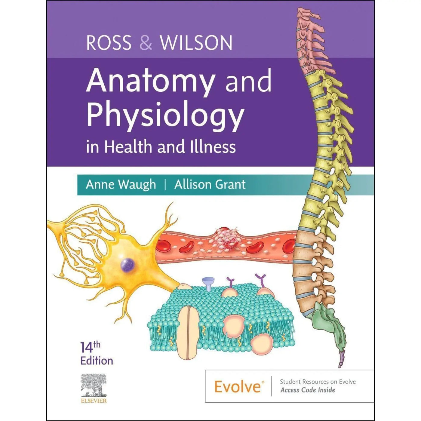 Ross and Wilson Anatomy and Physiology in Health and Illness 14th Edition